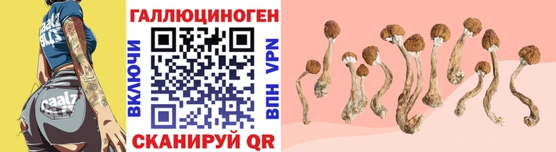 Галлюциногенные грибы MAGIC MUSHROOMS  Нурлат 