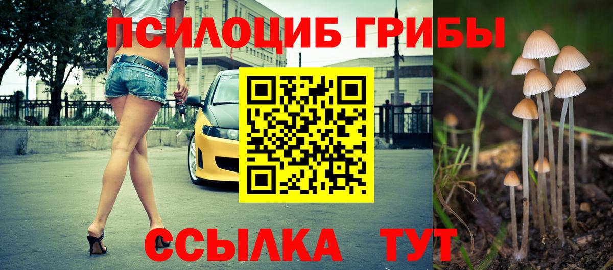 Псилоцибиновые грибы Psilocybe  Вход с VPN  Нурлат 