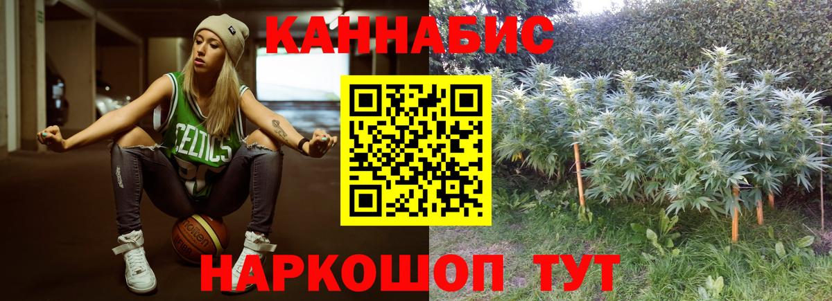 Бошки марихуана семена Нурлат